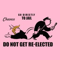 Do Not Get Reelected Chance Go Directly To Jail T-Shirt