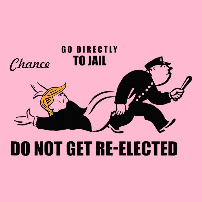 Do Not Get Reelected Chance Go Directly To Jail T-Shirt