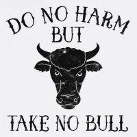 Do No Harm But Take No Bull Sustainable Bucket Hat