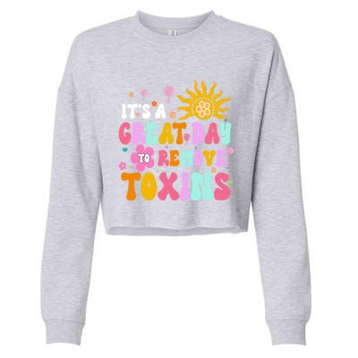 Dialysis Nurse ItS Great Day To Remove Toxins Nurse For Mom Funny Gift Cropped Pullover Crew