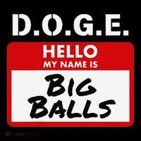 D.O.G.E. Name Is Big Balls D O G E Tie-Dye T-Shirt