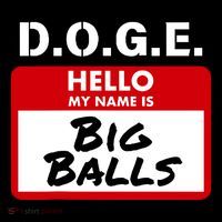 D.O.G.E. Name Is Big Balls D O G E Tie-Dye T-Shirt