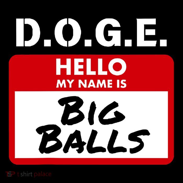 D.O.G.E. Name Is Big Balls D O G E Tie-Dye T-Shirt