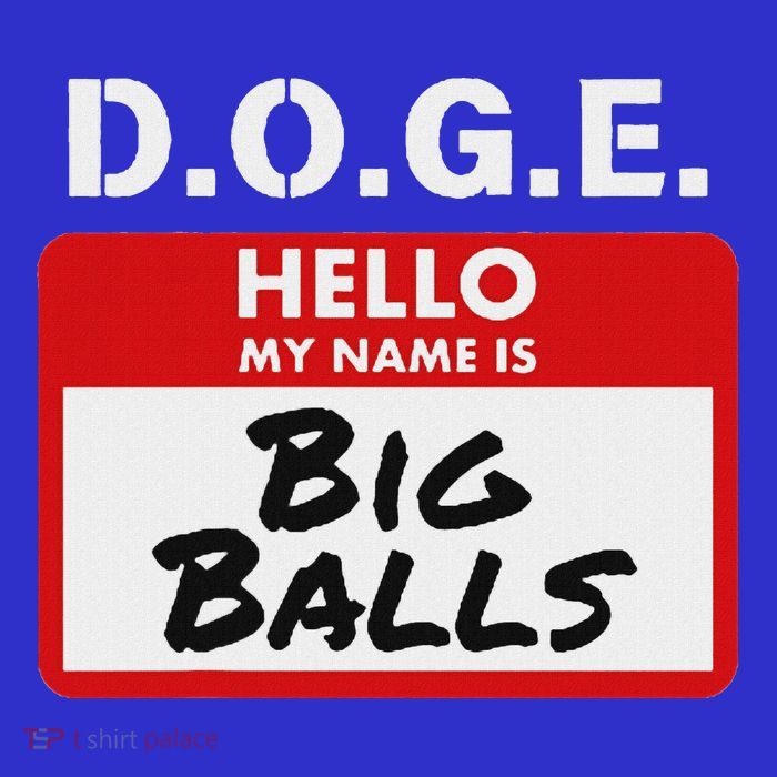D.O.G.E. Name Is Big Balls D O G E Kids T-Shirt