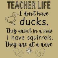 Ducks Not In A Row Squirrel Rave Funny Teacher Button
