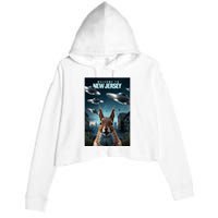 Drones New Jersey Ufo Uap Alien Invasion Crop Fleece Hoodie