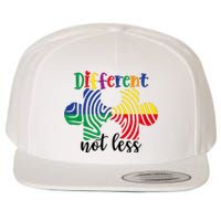 Different Not Less Wool Snapback Cap