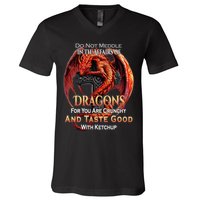 Do Not Meddle In The Affairs Of Dragons Fantasy V-Neck T-Shirt