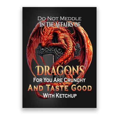 Do Not Meddle In The Affairs Of Dragons Fantasy Poster