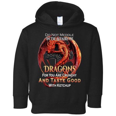 Do Not Meddle In The Affairs Of Dragons Fantasy Toddler Hoodie