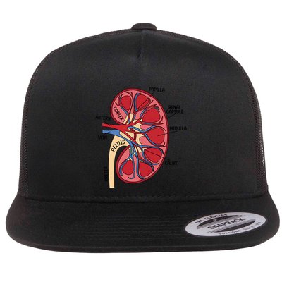 Dialysis Nurse Ney Definition Rn Nurse Mom Funny Gift Flatbill Hat