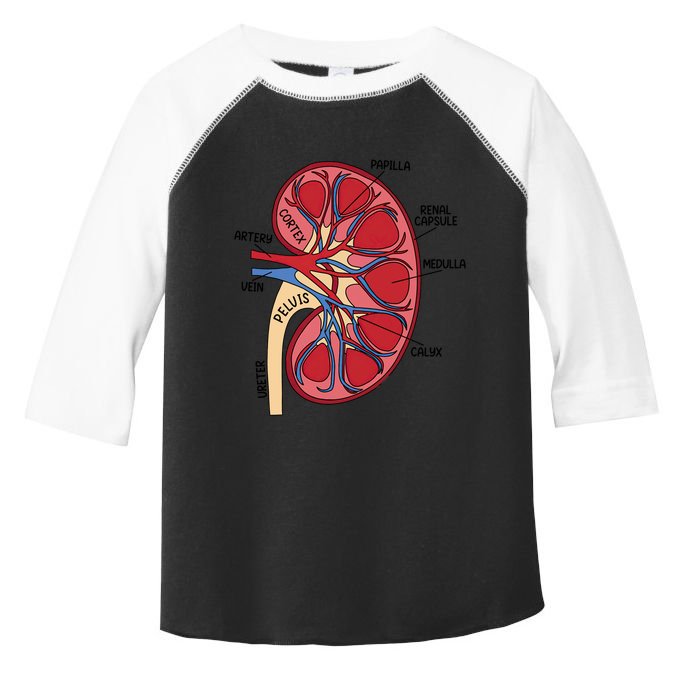 Dialysis Nurse Ney Definition Rn Nurse Mom Funny Gift Toddler Fine Jersey T-Shirt