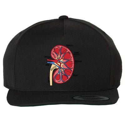 Dialysis Nurse Ney Definition Rn Nurse Mom Funny Gift Wool Snapback Cap
