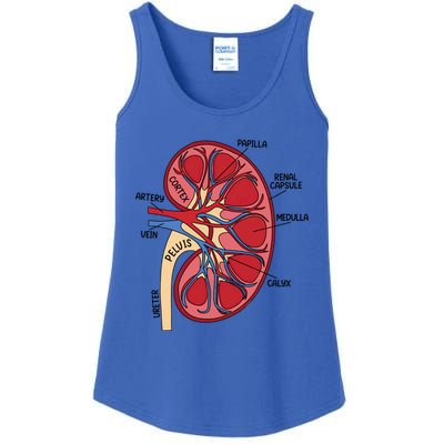 Dialysis Nurse Ney Definition Rn Nurse Mom Funny Gift Ladies Essential Tank