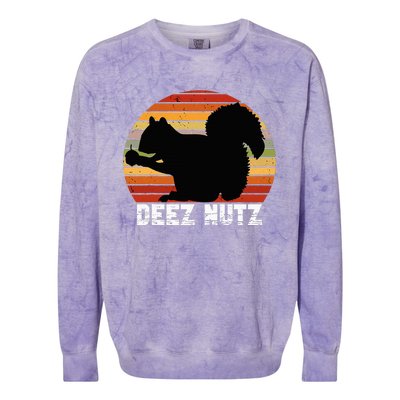 Deez Nutz Nutcracker Squirrel Gopher Chipmunk Dees Nuts Colorblast Crewneck Sweatshirt