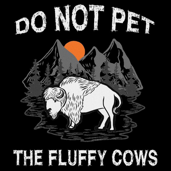 Do Not Pet The Fluffy Cows Funny Bison Gift Yellowstone Park Stripe Pom Pom Beanie