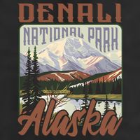 Denali National Park Alaska 11oz C Handle Ceramic Mug