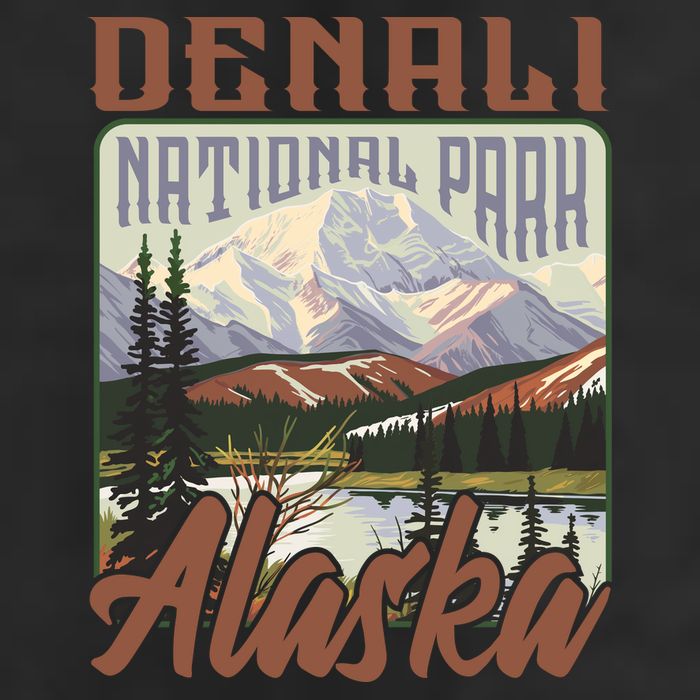 Denali National Park Alaska 11oz C Handle Ceramic Mug