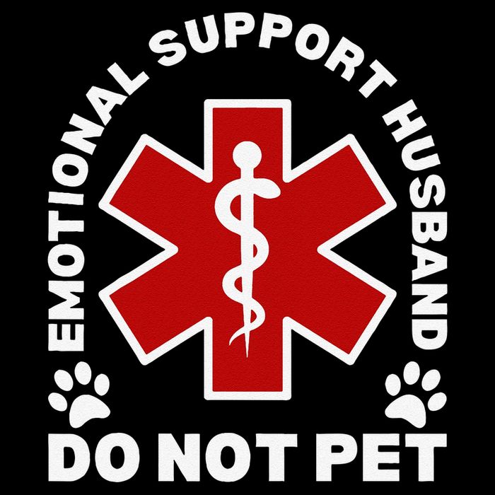 Do Not Pet Emotional Support Husband Funny Wool Snapback Cap