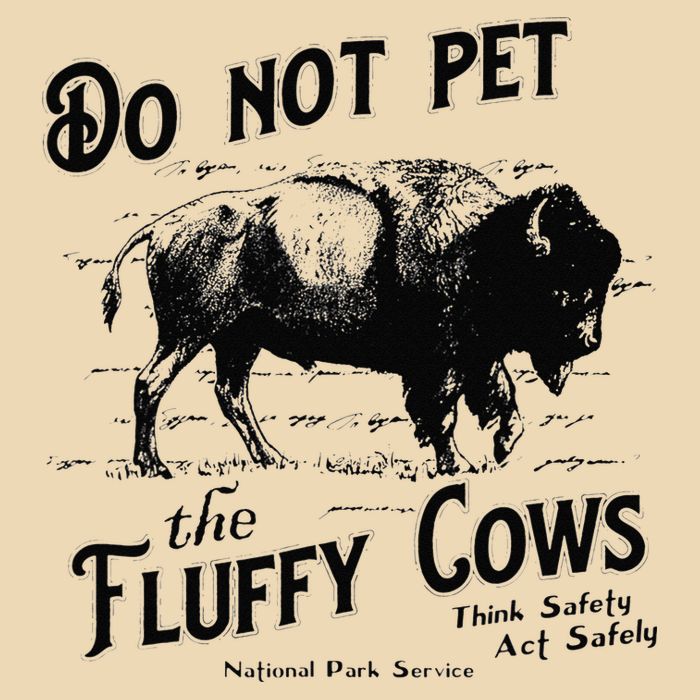 Do Not Pet The Fluffy Cows American Bison Vintage Bag