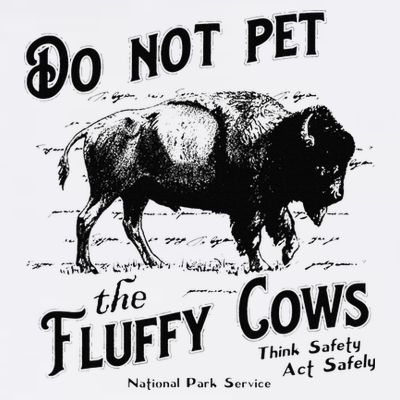 Do Not Pet The Fluffy Cows American Bison Vintage T-Shirt