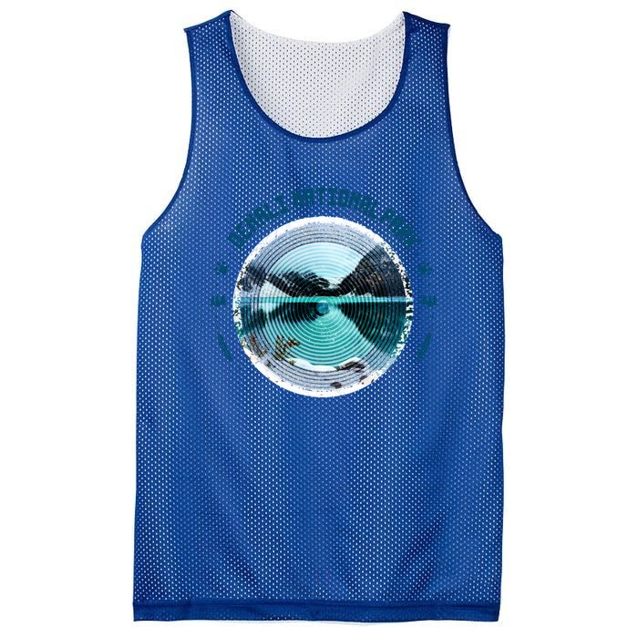 Denali National Park Alaska Souvenir Gift Art Gift Mesh Reversible Basketball Jersey Tank