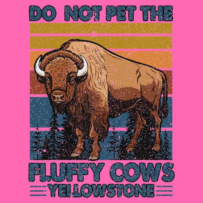 Do Not Pet The Fluffy Cows Buffalo & Bison Yellowstone Park Stripe Pom Pom Beanie
