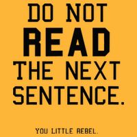 Do Not Read The Next Sentence Funny Pom Pom 12in Knit Beanie