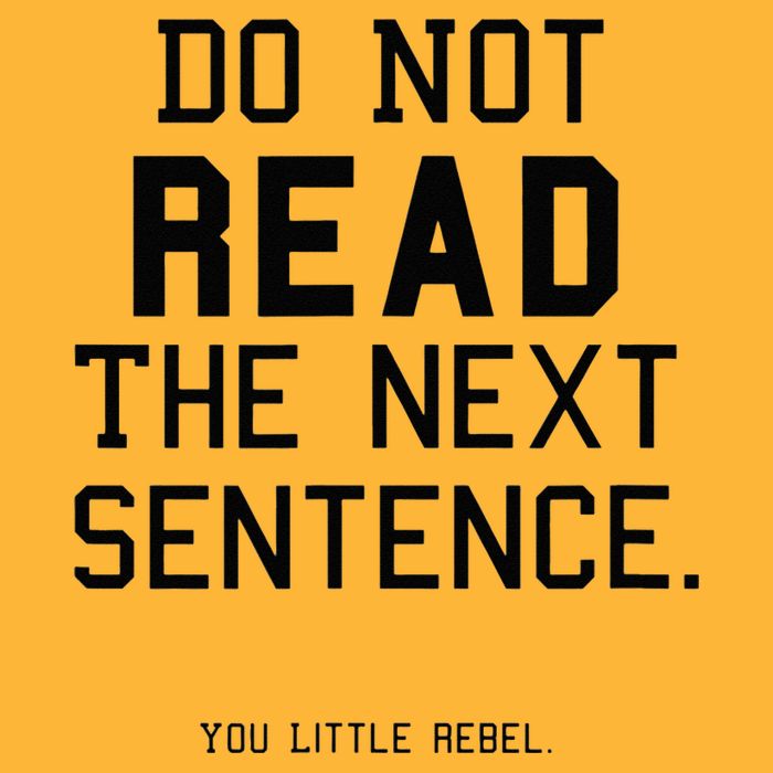 Do Not Read The Next Sentence Funny Pom Pom 12in Knit Beanie