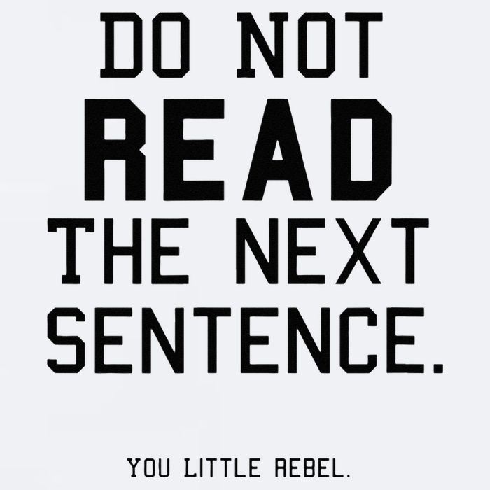 Do Not Read The Next Sentence Funny Sueded Cloud Jersey T-Shirt