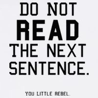 Do Not Read The Next Sentence Funny Sweatshirt