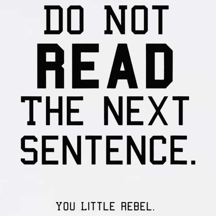 Do Not Read The Next Sentence Funny Sweatshirt