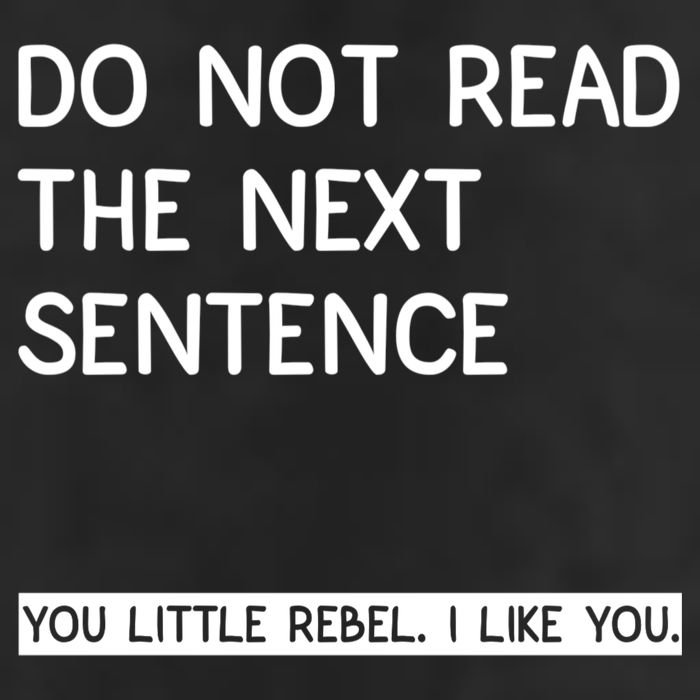 Do Not Read The Next Sentence You Little Rebbel Funny Sayings Garment-Dyed Fleece Hoodie