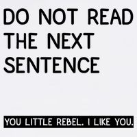 Do Not Read The Next Sentence You Little Rebbel Funny Sayings Garment-Dyed Sweatshirt