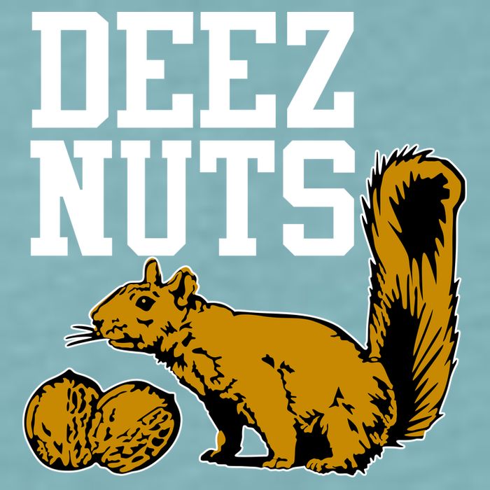 Deez Nuts Squirrel Sueded Cloud Jersey T-Shirt
