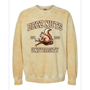 Deez Nuts University Funny College Fraternity Sorority Colorblast Crewneck Sweatshirt