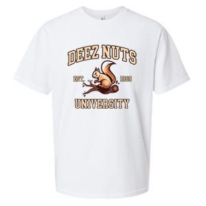 Deez Nuts University Funny College Fraternity Sorority Sueded Cloud Jersey T-Shirt