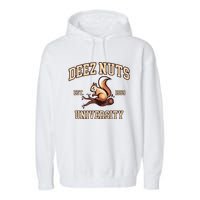 Deez Nuts University Funny College Fraternity Sorority Garment-Dyed Fleece Hoodie