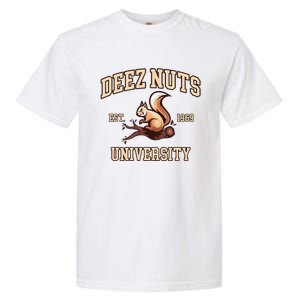 Deez Nuts University Funny College Fraternity Sorority Garment-Dyed Heavyweight T-Shirt