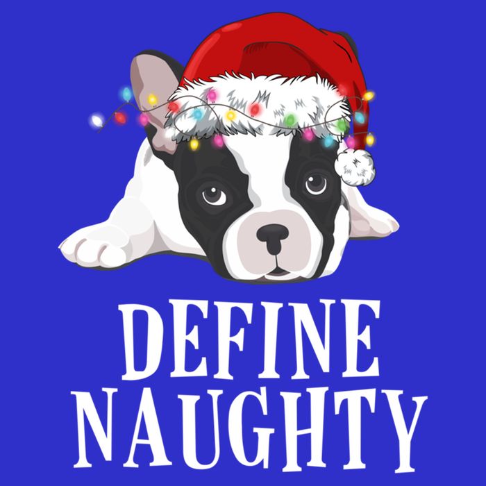 Define Naughty Xmas Idea French Bulldog Lovers Xmas Lights Cool Gift 16 in Basic Backpack