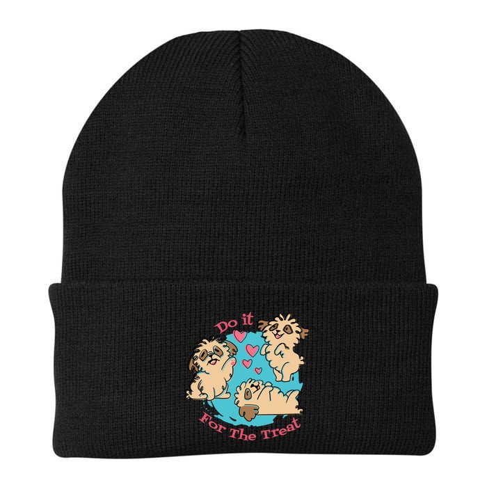 Do It For The Treat Cute Dogs Beanie