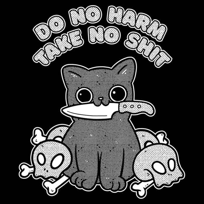 Do No Harm Take No Shit Mug