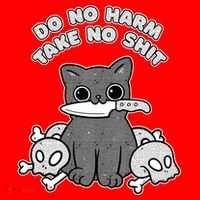Do No Harm Take No Shit Short Acrylic Beanie