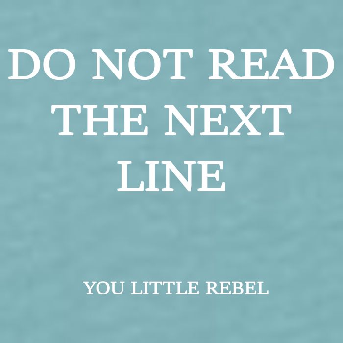 Do Not Read The Next Line You Little Rebel Sueded Cloud Jersey T-Shirt