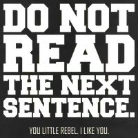 Do Not Read The Next Sentence. You Little Rebel. I Like You. Garment-Dyed Fleece Hoodie