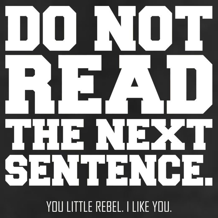 Do Not Read The Next Sentence. You Little Rebel. I Like You. Garment-Dyed Fleece Hoodie
