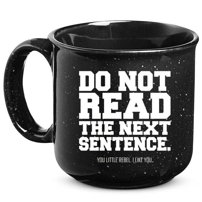 Do Not Read The Next Sentence. You Little Rebel. I Like You. 15oz Campfire Ceramic Mug