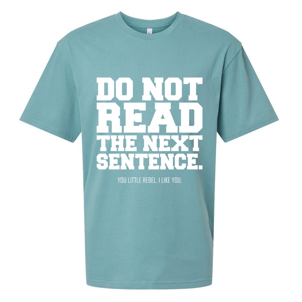 Do Not Read The Next Sentence. You Little Rebel. I Like You. Sueded Cloud Jersey T-Shirt