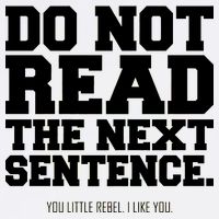 Do Not Read The Next Sentence. You Little Rebel. I Like You. Garment-Dyed Sweatshirt