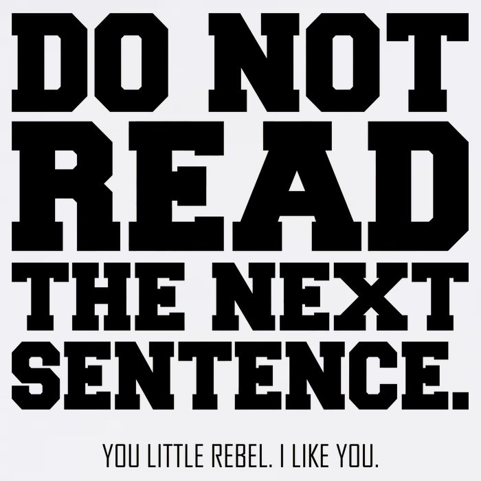 Do Not Read The Next Sentence. You Little Rebel. I Like You. Garment-Dyed Sweatshirt
